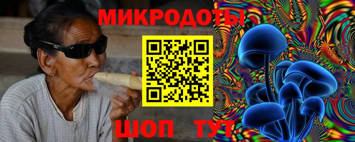 Галлюциногенные грибы Psilocybine cubensis Ртищево